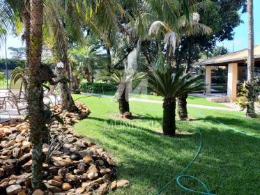18 - Jardim