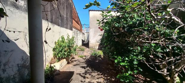 7 - Quintal/corredores