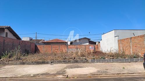 1 - Terreno/Lote