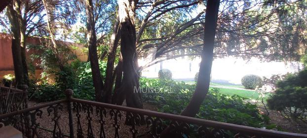 4 - Jardim
