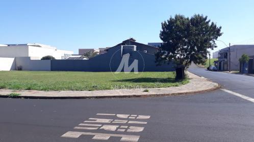 2 - Terreno/Lote