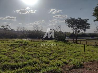 3 - Terreno/Lote