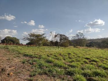 4 - Terreno/Lote