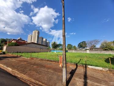 4 - Terreno/Lote