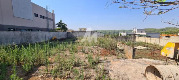 1 - Terreno/Lote