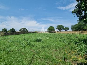 4 - Terreno/Lote