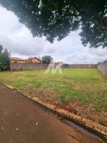 4 - Terreno/Lote