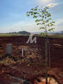1 - Terreno/Lote
