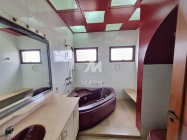 11 - Suite