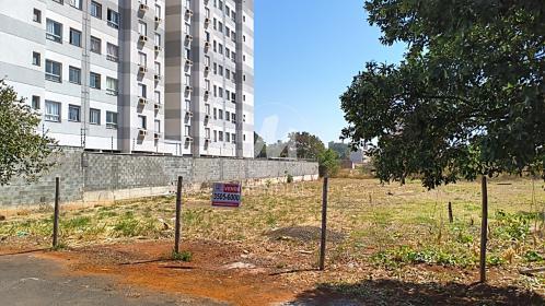 1 - Terreno/Lote