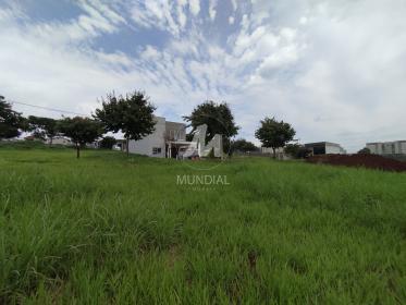 1 - Terreno/Lote