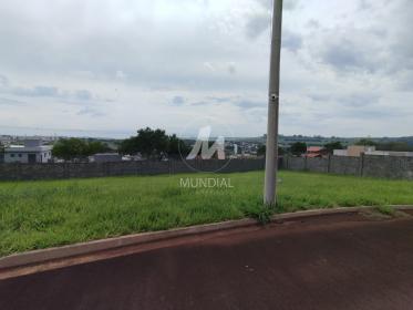 1 - Terreno/Lote