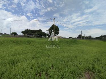 2 - Terreno/Lote