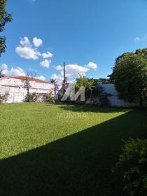 35 - Jardim