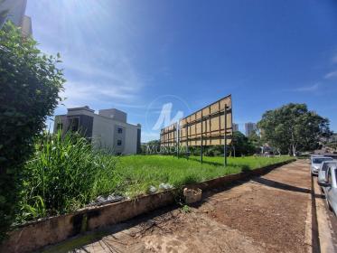4 - Terreno/Lote