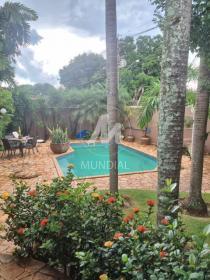1 - Piscina