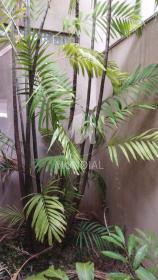 3 - Jardim