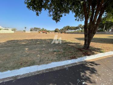5 - Terreno/Lote