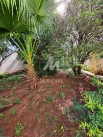 7 - Quintal/corredores