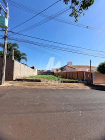 1 - Terreno/Lote