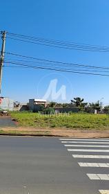 2 - Terreno/Lote