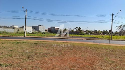 1 - Terreno/Lote