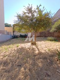 11 - Quintal/corredores