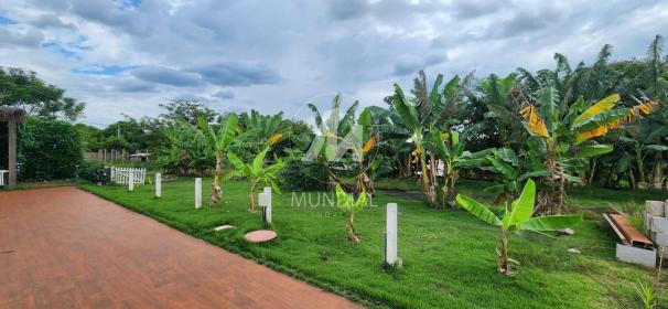 19 - Jardim