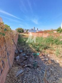 2 - Terreno/Lote