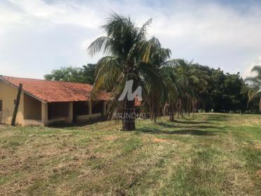 34 - Quintal/corredores