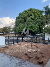 3 - Jardim