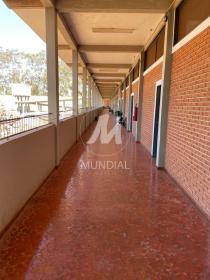 13 - Quintal/corredores