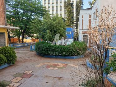 28 - Jardim