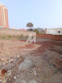 2 - Terreno/Lote