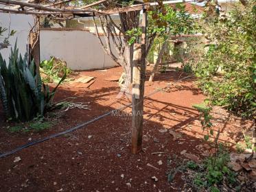 16 - Quintal/corredores