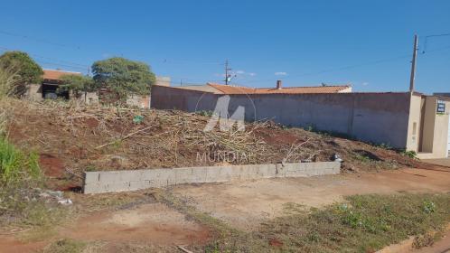 1 - Terreno/Lote