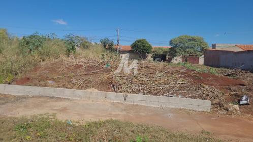 2 - Terreno/Lote