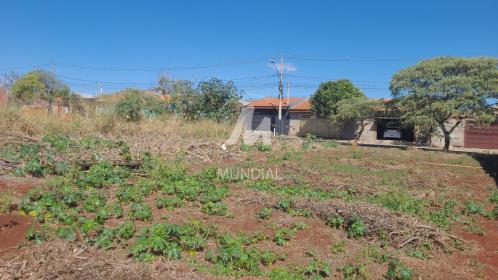 3 - Terreno/Lote