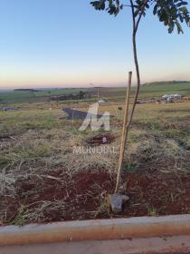 4 - Terreno/Lote