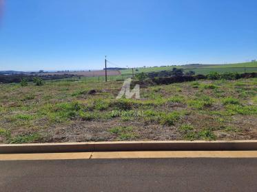 1 - Terreno/Lote