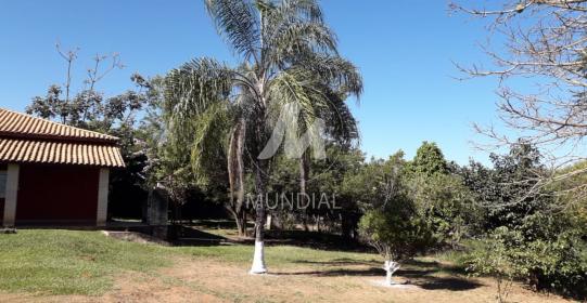 20 - Quintal/corredores