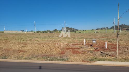 1 - Terreno/Lote