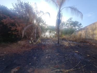 4 - Terreno/Lote