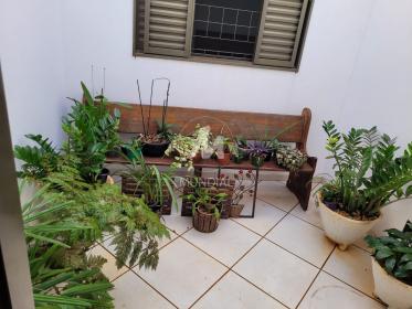 10 - Jardim