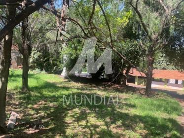 6 - Terreno/Lote