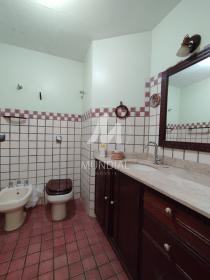 11 - Suite