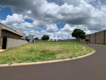 1 - Terreno/Lote