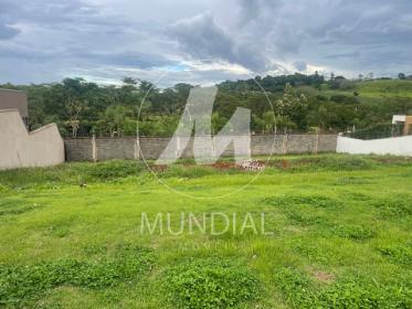 6 - Terreno/Lote