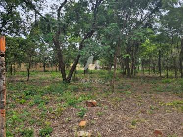 1 - Terreno/Lote