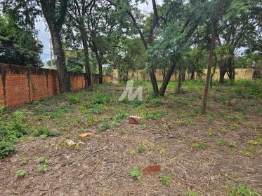 3 - Terreno/Lote